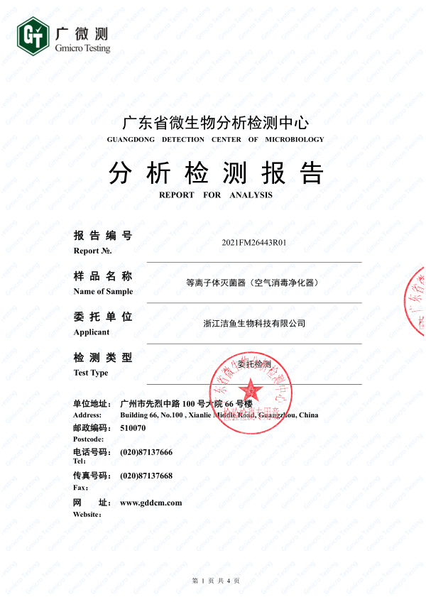 等离子除甲醛检测报告（中文）