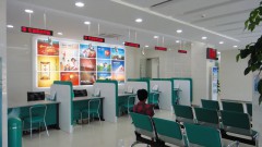 银行【大型单位 集团公司】